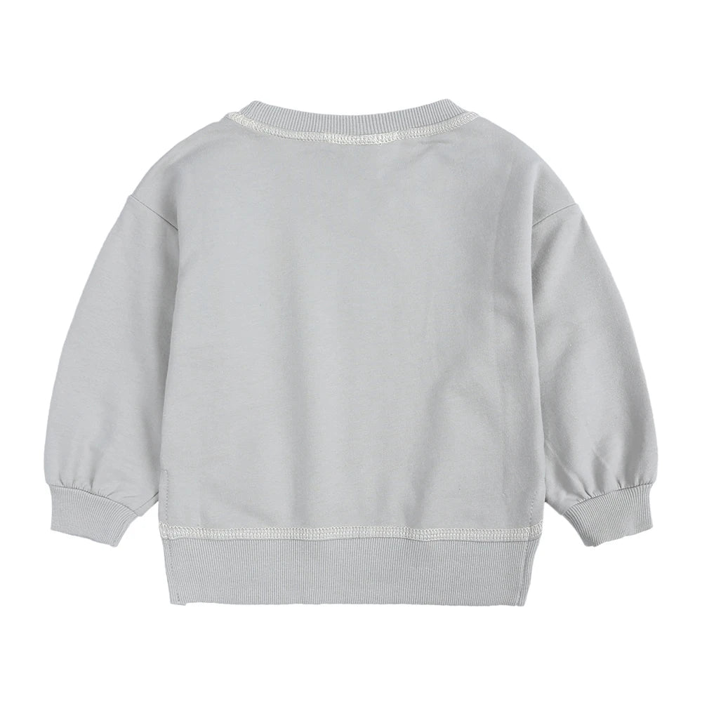 2PCS Kids Clothes Set for 1-7Y - Solid Cotton Pullover Sweatshirt & Pants, Long Sleeve Autumn Outfits for Boys & Girls