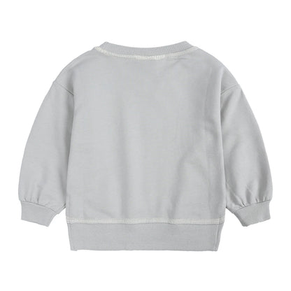 2PCS Kids Clothes Set for 1-7Y - Solid Cotton Pullover Sweatshirt & Pants, Long Sleeve Autumn Outfits for Boys & Girls