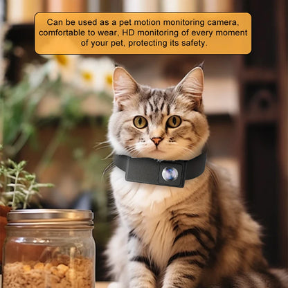 BORME HD 1080P Pet Collar Camera – Wireless Dog & Cat Camera with Video Recording, No WiFi Needed, Perfect Pet Monitoring Gift
