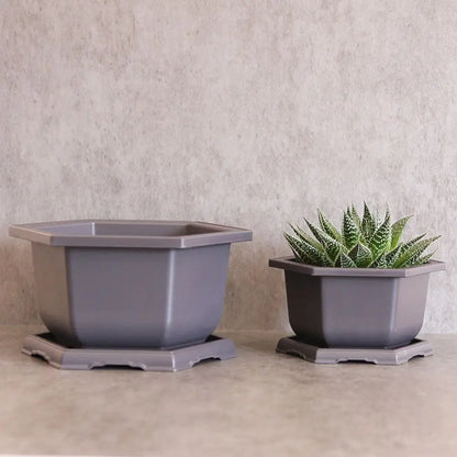 Hexagon Flower Pots – Succulent Box Planter, Plant Container for Home & Office Decor