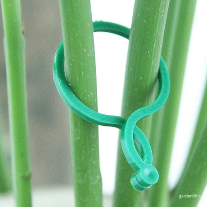 Plastic Garden Vine Strapping Clips - 20/50/100Pcs Plant Bundled Buckle Rings for Tomato, Grapevine, and More - Plants Support Tool