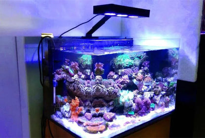Spectra Nano 029 Aquarium Light 30W – Touch Control Saltwater Lighting for Coral Reef Fish Tanks