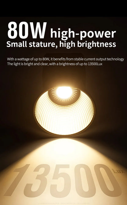 80W Dual Color Temperature COB Photography Light - Professional LED Video Light, Portable Handheld Fill Light with Mini Bowens