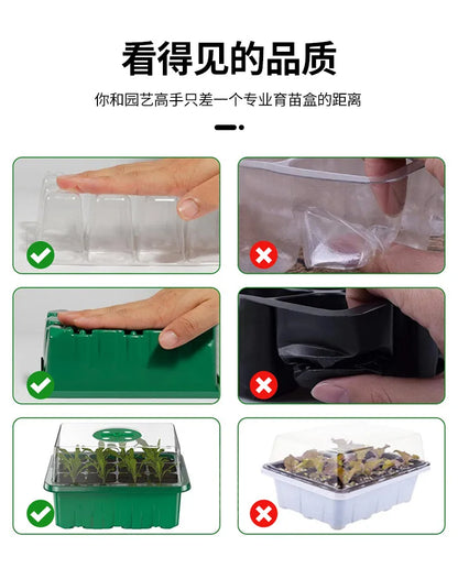 12-Well Plastic Seedling Tray | Insulated Pot for Succulent & Seed Sowing