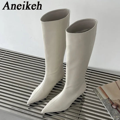 Aneikeh 2025 Fashion Sexy Pointed Low Heel Knee-High Boots – Women's Spring/Autumn PU Western Party Boots (Size 35-40)