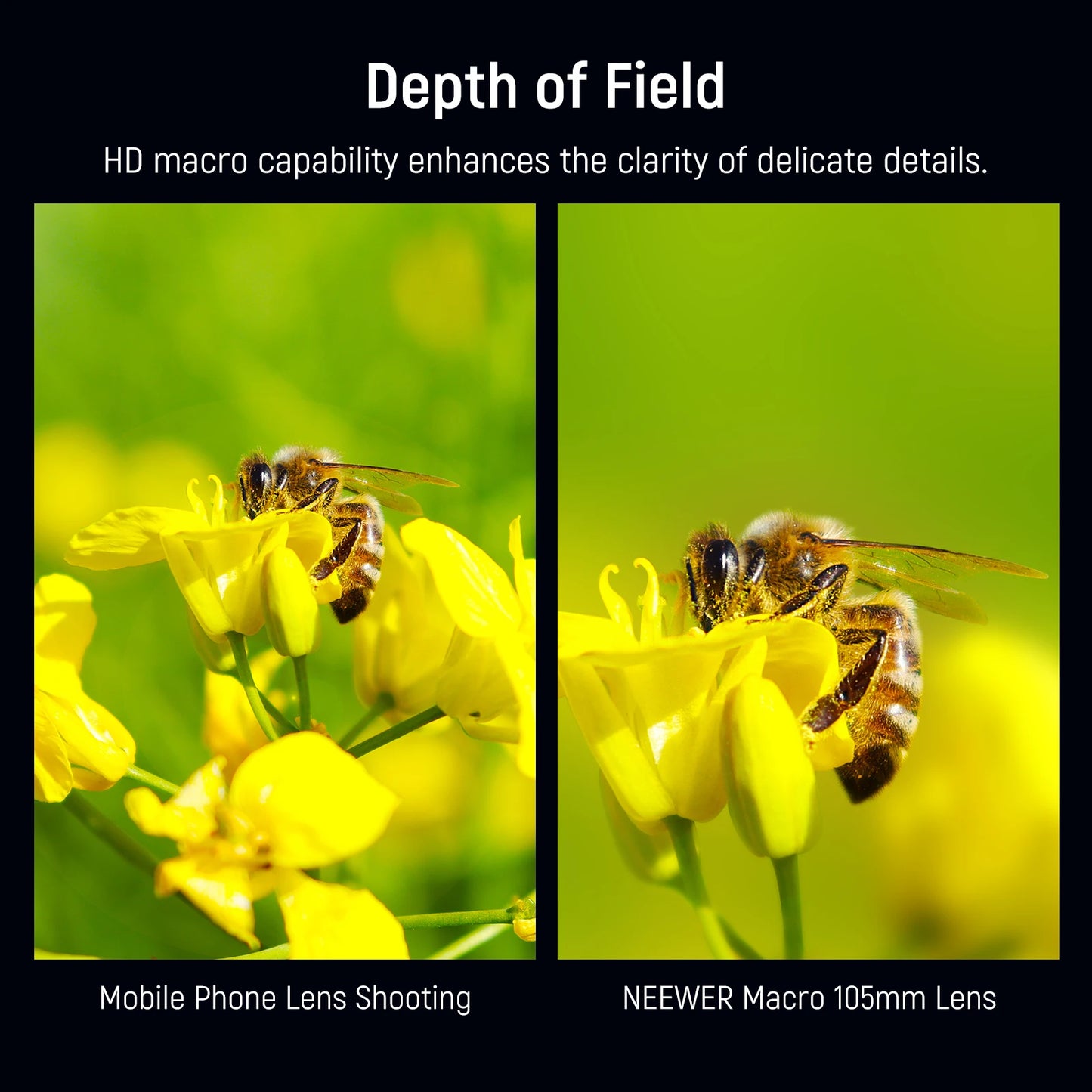 NEEWER 105mm HD Macro Lens - 17mm Thread Phone Lens for iPhone, Samsung, Xiaomi & Compatible Phone Cages