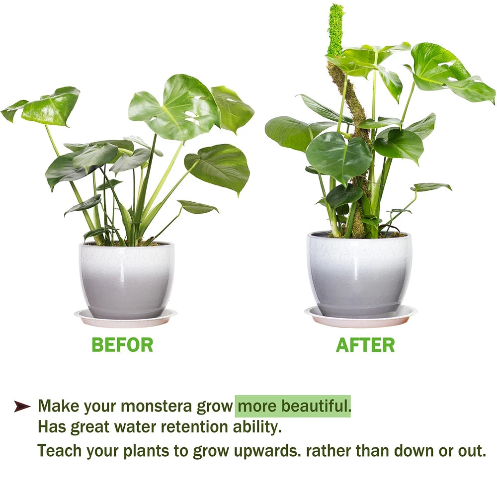 1PC Handmade Bendable Moss Pole for Monstera and Indoor Plants - Real Moss Plant Stakes for Climbing Support