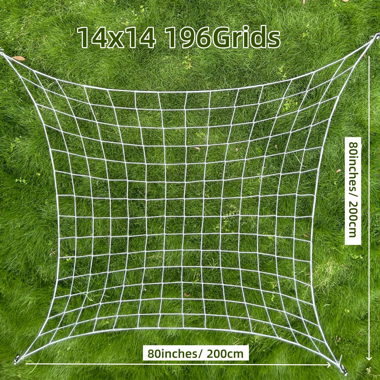 50353568809267