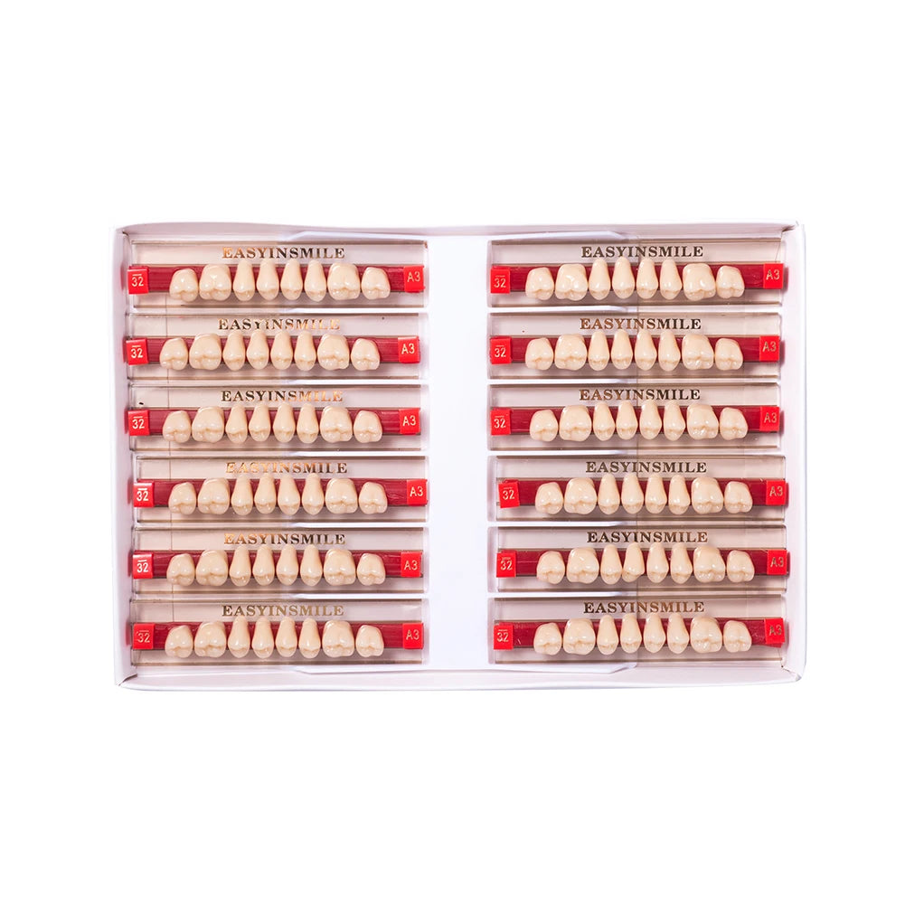 16/12 Set Dental Denture Teeth Model Kit, Upper & Lower Anterior Synthetic Polymer Teeth A2 A3 for Dental Education & Training