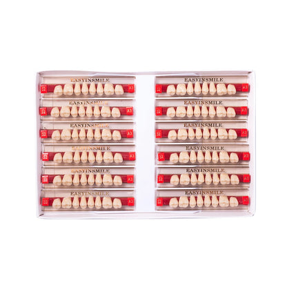 16/12 Set Dental Denture Teeth Model Kit, Upper & Lower Anterior Synthetic Polymer Teeth A2 A3 for Dental Education & Training