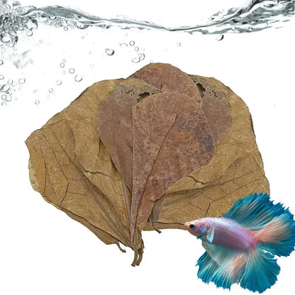 Aquarium Almond Catappa Leaves – Betta & Shrimp Fish Tank Accessories for Creating a Rainforest Environment