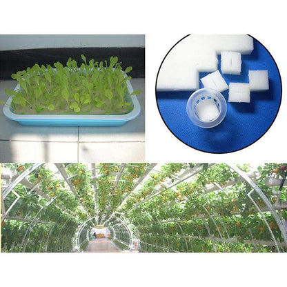 100Pcs Hydroponic Plant Sponge Sheets - Garden Cultivation, Seedling Soilless Culture, Planting Tools, Vegetables Nursery Pots and Trays