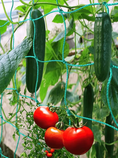 Heavy Duty Garden Trellis Netting - UV Stabilized Polyethylene Climbing Support for Cucumbers, Vines & Tomatoes