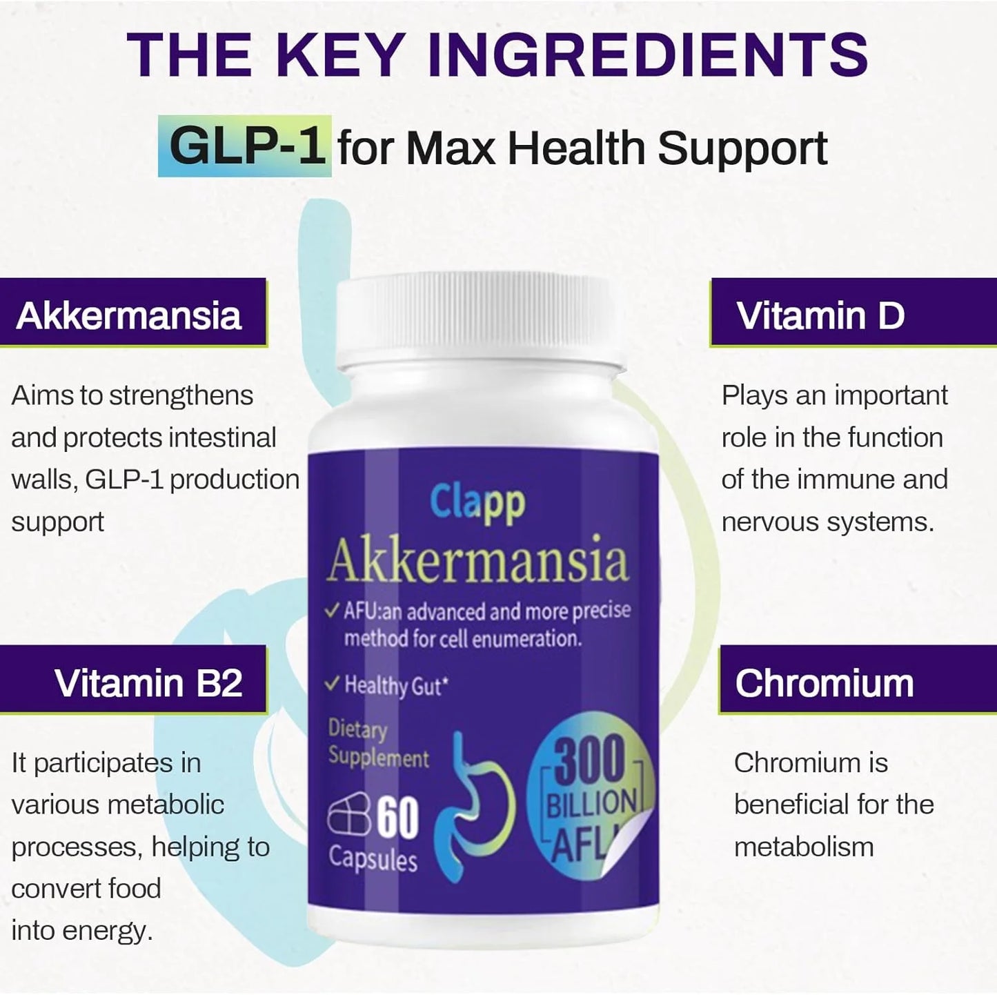 300 Billion AFU Akkermansia Muciniphila Probiotic – Live Digestion Support Supplement