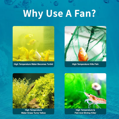 Jebao Jecod ACF Series Aquarium Cooling Fan – Mute Automatic Temperature Control for Marine Tanks, 12V 3W/4W Cooler Accessory
