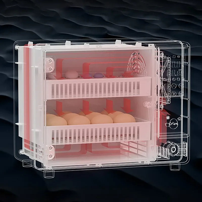 24-Egg Automatic Incubator — Touch Control Hatchery Machine for Chicken, Duck, Quail & Bird Eggs