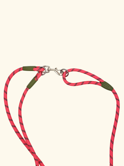 Reflective Nylon Dog Leash – Hands-Free Running & Walking Rope Lead for Small to Large Dogs