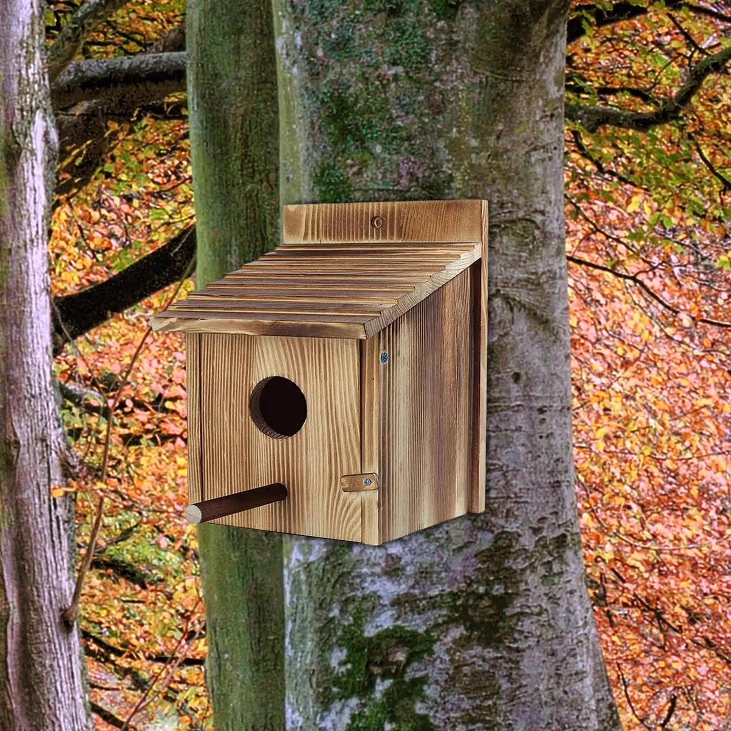Wooden Bird House Nest Box - Warm Sheltered Garden Shelter with Viewing Window for Small Birds, Patio & Outdoor Decor
