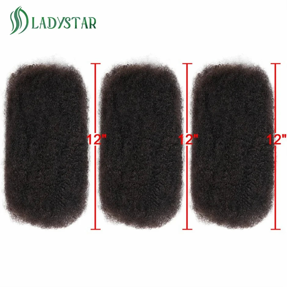 Brazilian Remy Afro Kinky Curly Human Hair for Braiding & Dreadlocks – 30g Natural Color Bulk Hair Extension (No Weft, 1 Bundle)