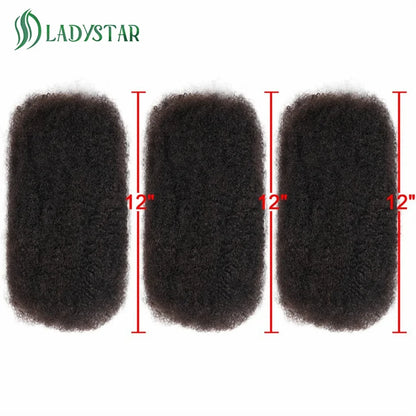 Brazilian Remy Afro Kinky Curly Human Hair for Braiding & Dreadlocks – 30g Natural Color Bulk Hair Extension (No Weft, 1 Bundle)