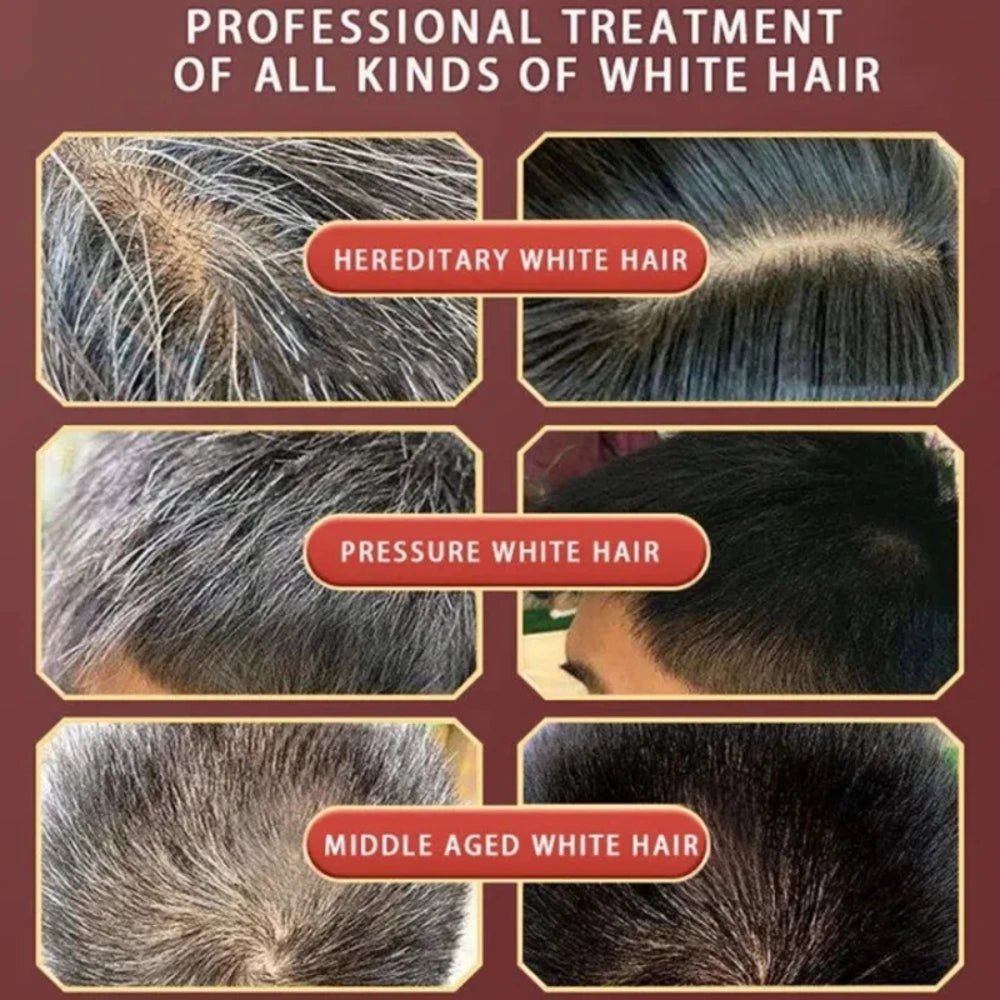 Pure Natural Herbal Hair Dye Shampoo – 5-Minute Gray & White Hair Color, Non-Irritating Hair Repair for Men & Women