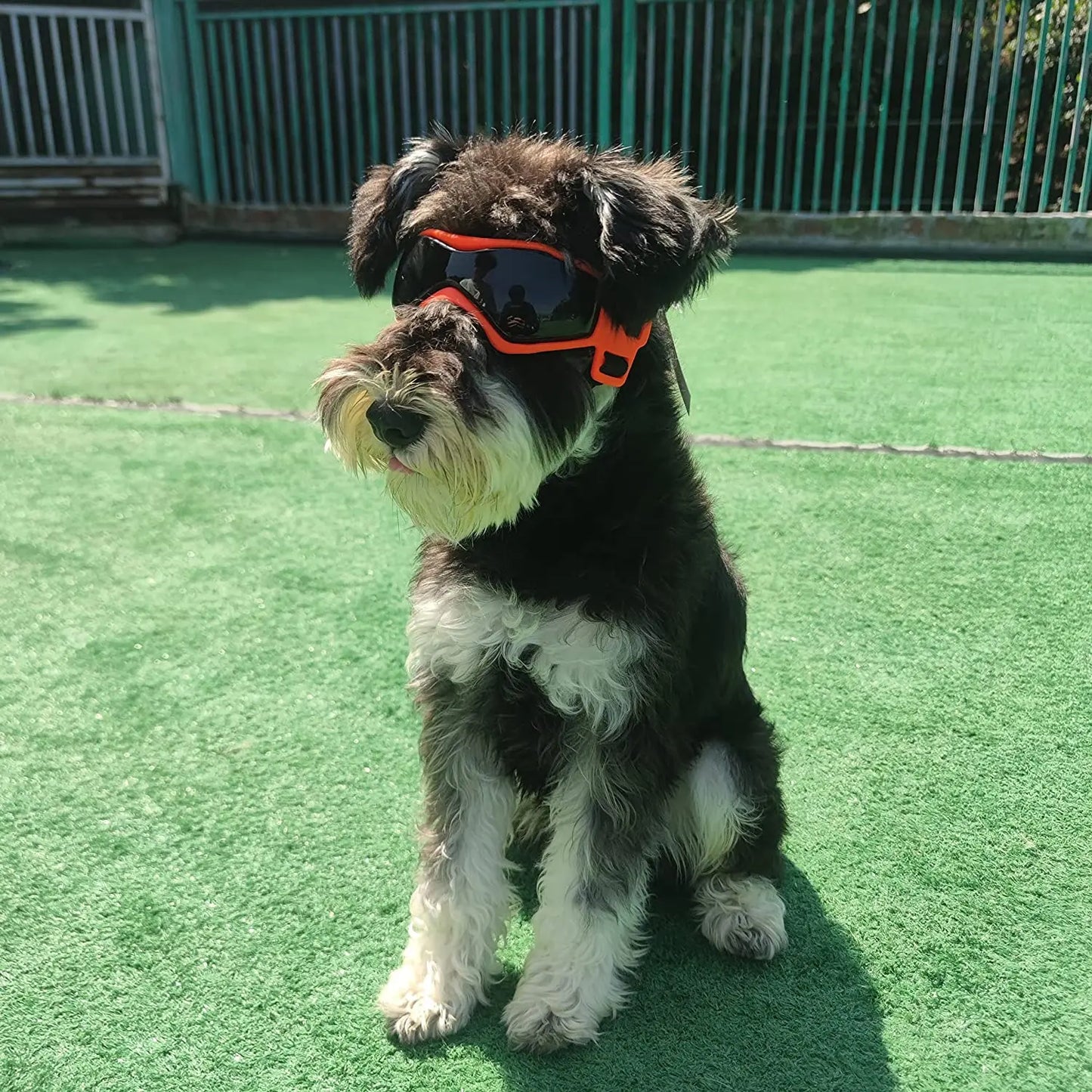 UV Protective Goggles for Dogs and Cats: Cool Sunglasses Eyewear for Small to Medium Pets - Outdoor Riding Pet Accessorie
