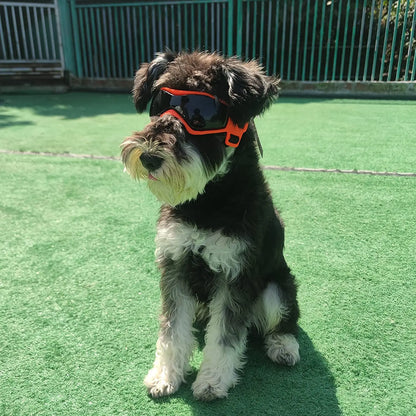 UV Protective Goggles for Dogs and Cats: Cool Sunglasses Eyewear for Small to Medium Pets - Outdoor Riding Pet Accessorie