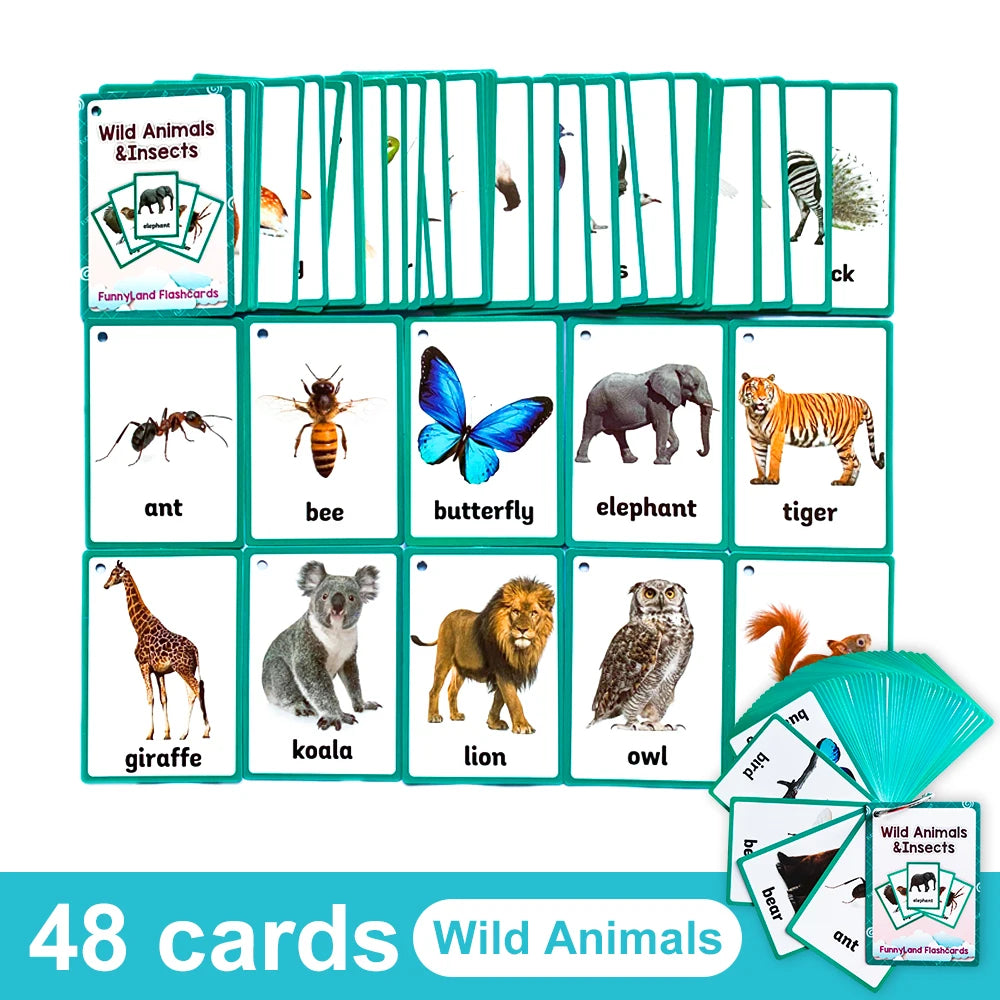 Kids English Vocabulary Flashcards - 26 Themes Fruits Animals Vehicles & Learning Activity Cards