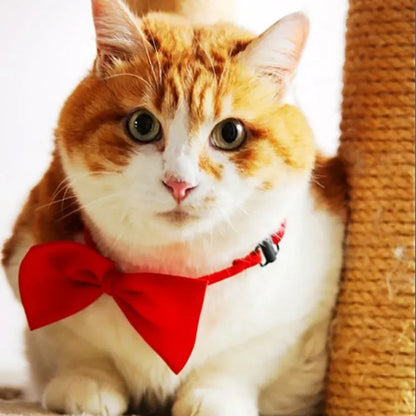 Adjustable Pet Bow Tie Necklace Collar – Cute Puppy & Cat Necktie Grooming Accessories for Dogs & Cats Pet Supplies