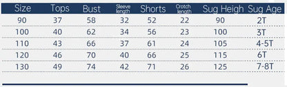 New Spring Autumn Kids Clothes Set – Patchwork Two-Piece Casual Tracksuit for Boys, Tops & Pants