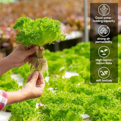 Seedling Grow Cubes — Stonewool Soilless Hydroponic Blocks for Vegetable & Plant Growing