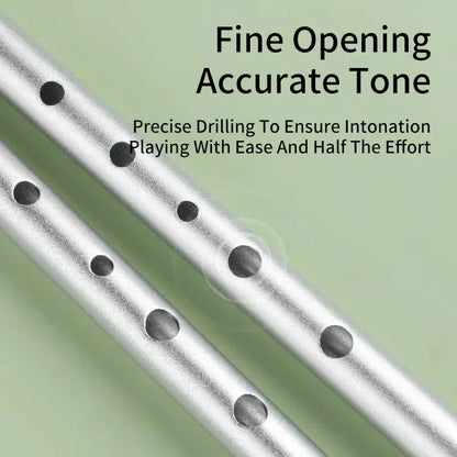 Irish Tin Whistle – Key of C/D Penny Whistle, Easy-to-Learn Classical Instrument for Beginners