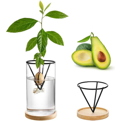 Hydroponic Avocado Tree Growing Kit – Glass Seed Vase with Bamboo Triangle Stand for Easy Sprouting Indoor Plant Pot