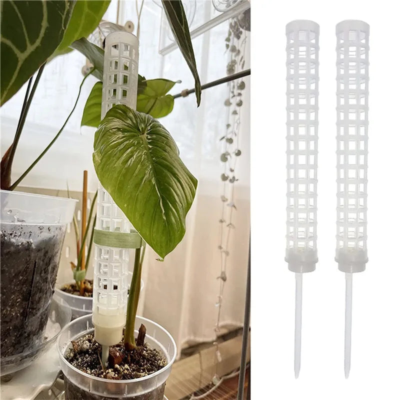 Green Dill Vine Garden Accessories - Plant Climbing Frame Trellis Supporting Stick Plastic Moss Pole for Indoor Plant Pot Stand