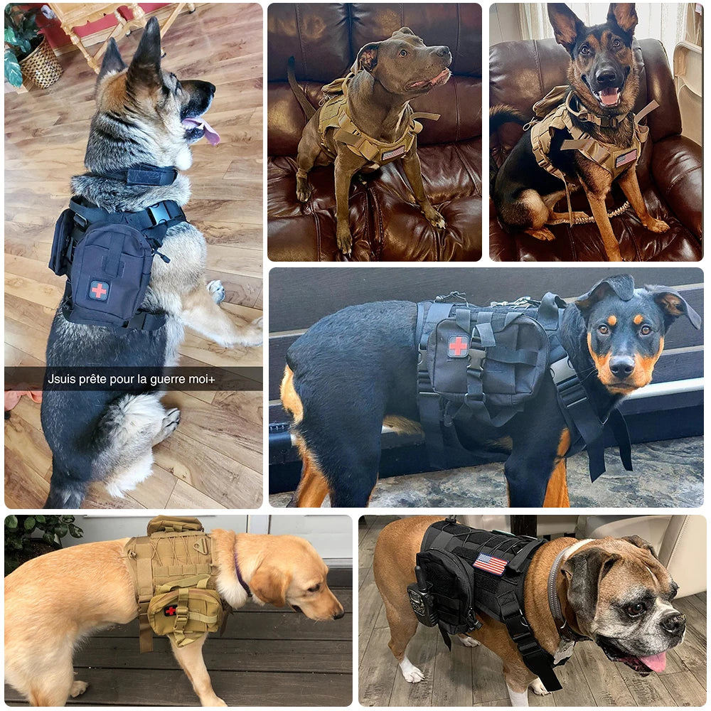 Tactical Dog Harness & Leash Set: Pet Training Vest for Small, Medium, and Large Dogs - Ideal for Walking and Hunting