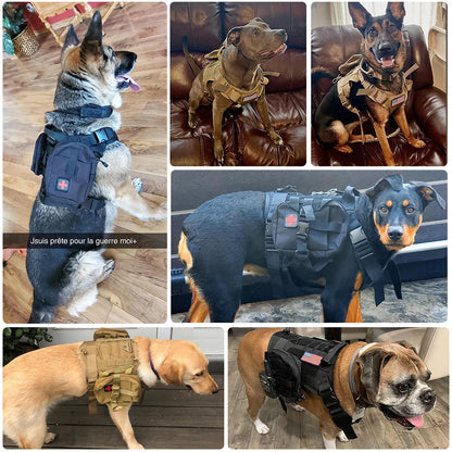 Tactical Dog Harness & Leash Set: Pet Training Vest for Small, Medium, and Large Dogs - Ideal for Walking and Hunting