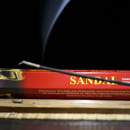9 Box Incense Stick Set – Authentic Indian Incense with Plate, Premium Flavors, Mixed Package & Random Surprise