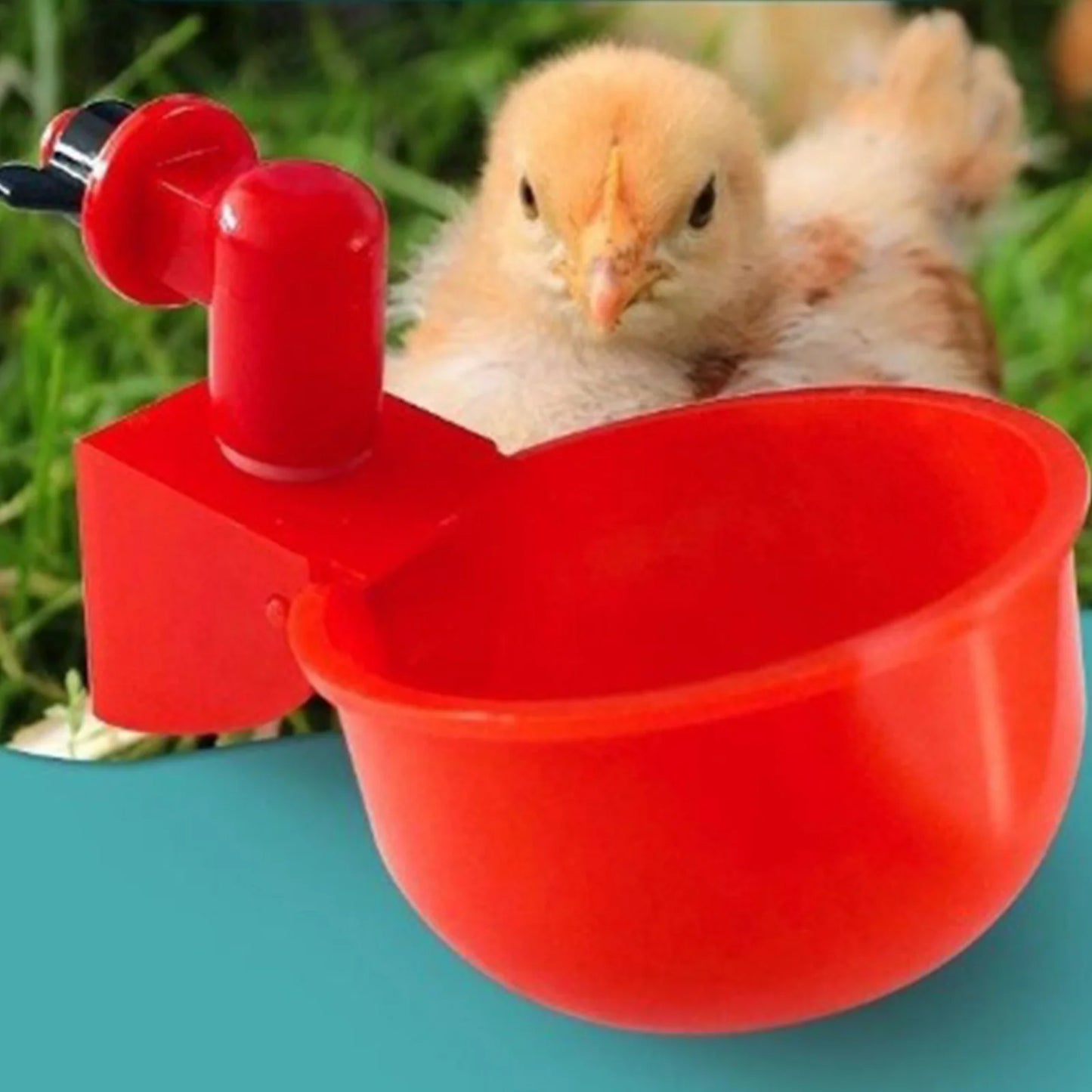 6-36Pcs Automatic Chicken Duck Drinking Cups - Plastic Poultry Farm Water Feeders for Easy Installation and Hassle-Free Drinking