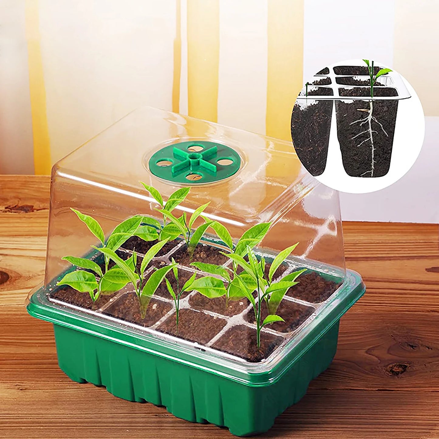 LED Grow Light with 6/12-Hole Seed Starter Trays — Indoor Plant Germination & Seedling Growing Box