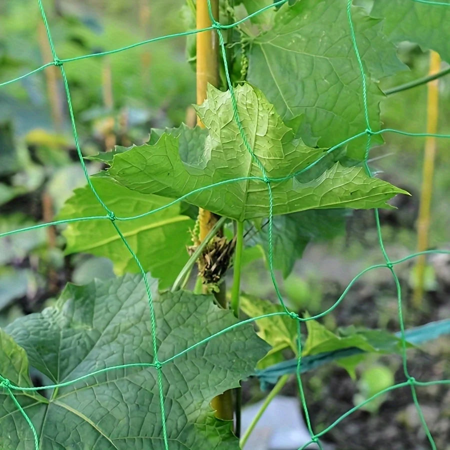 Heavy Duty Garden Trellis Netting - UV Stabilized Polyethylene Climbing Support for Cucumbers, Vines & Tomatoes