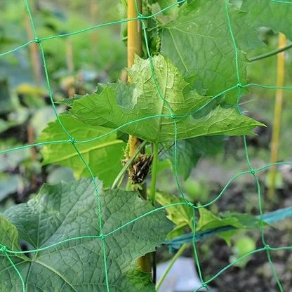 Heavy Duty Garden Trellis Netting - UV Stabilized Polyethylene Climbing Support for Cucumbers, Vines & Tomatoes