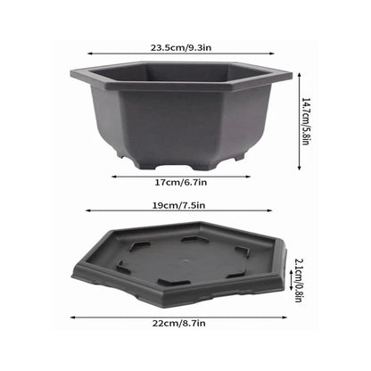 Purple Clay Succulent Plant Pots – Outdoor Garden Bonsai Planters, Rectangular & Square