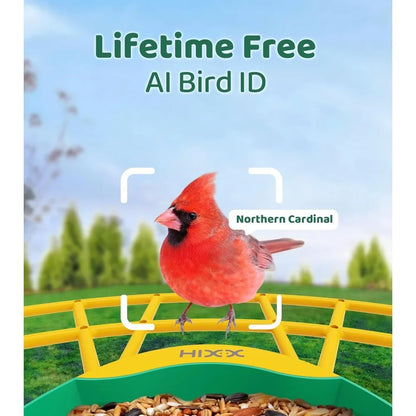 HOME Smart Bird Feeder with Camera – 2K HD Live Birdwatching, AI Bird Identification & Automatic Photo Capture