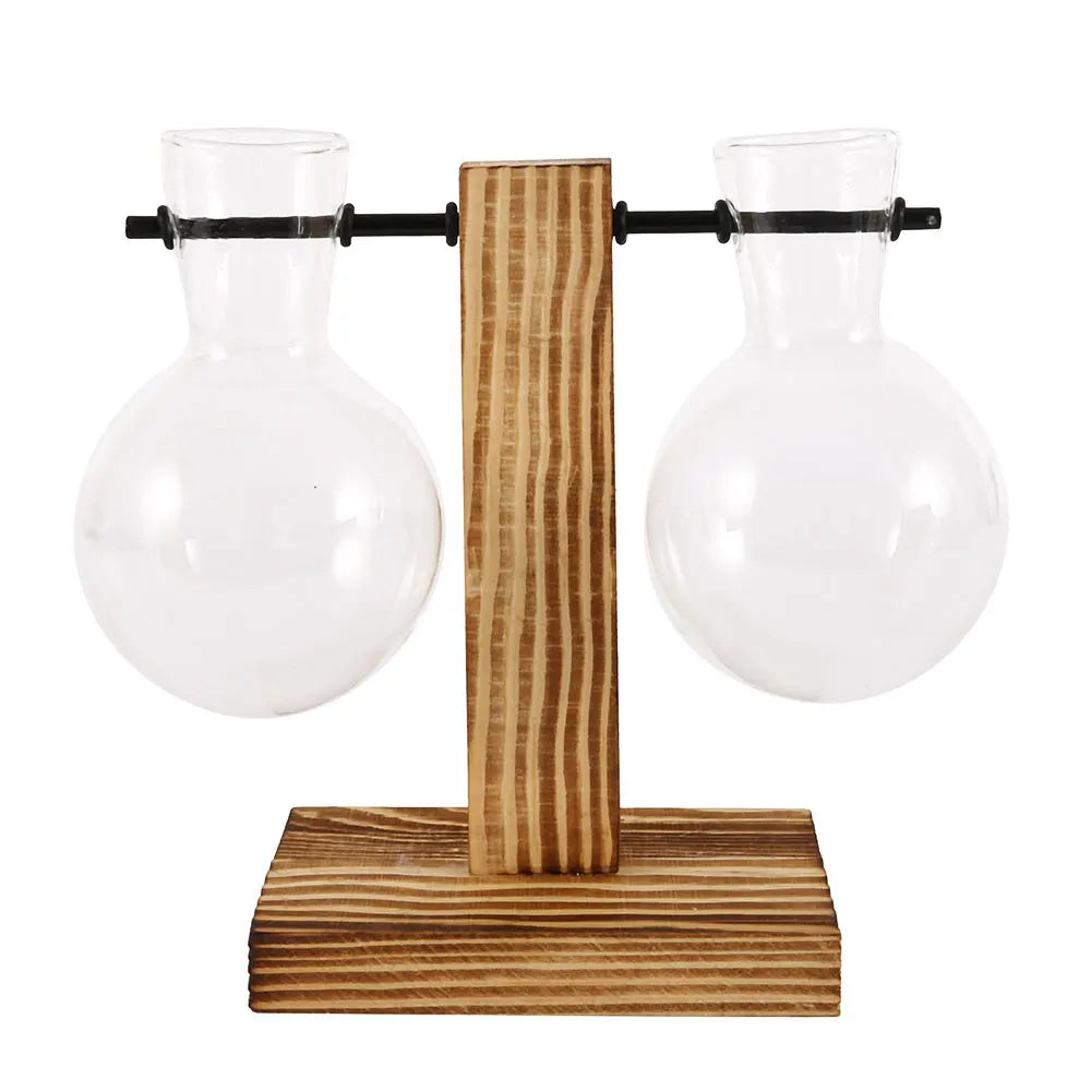 Glass Bulb Planter Vase - Wooden Stand Hydroponic Desktop Decor