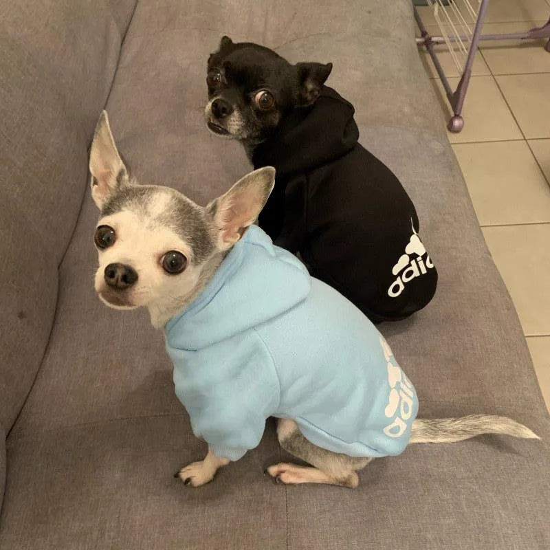 2021 Winter Pet Dog Clothes – Fleece Hoodies and Warm Sweatshirts for Small, Medium, and Large Dogs, Stylish Jacket Costumes