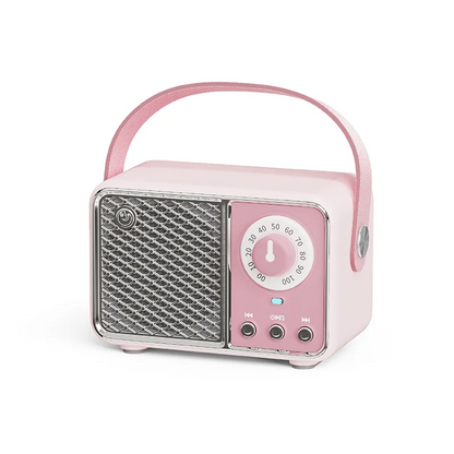 Wireless Portable Bluetooth Speaker — Mini Subwoofer Music Box with Hands-Free Function