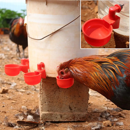 6-36Pcs Automatic Chicken Duck Drinking Cups - Plastic Poultry Farm Water Feeders for Easy Installation and Hassle-Free Drinking