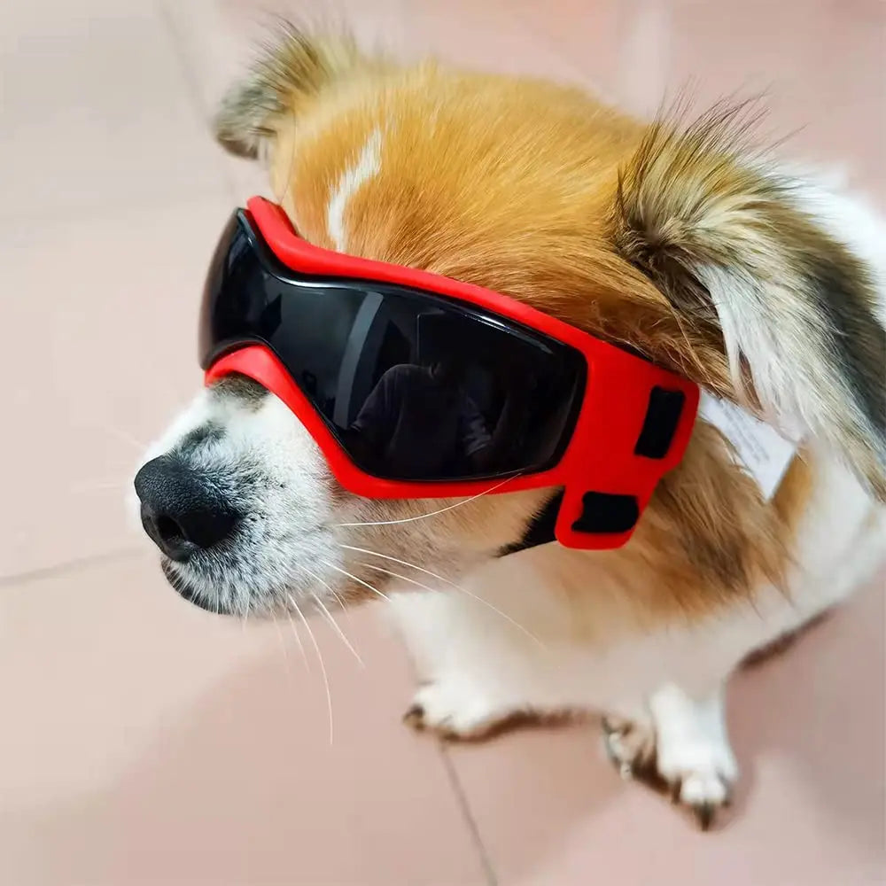 Small Breed Dog Goggles: UV Sunglasses with Windproof Soft Frame - Adjustable Straps for Small/Medium Dogs and Puppies