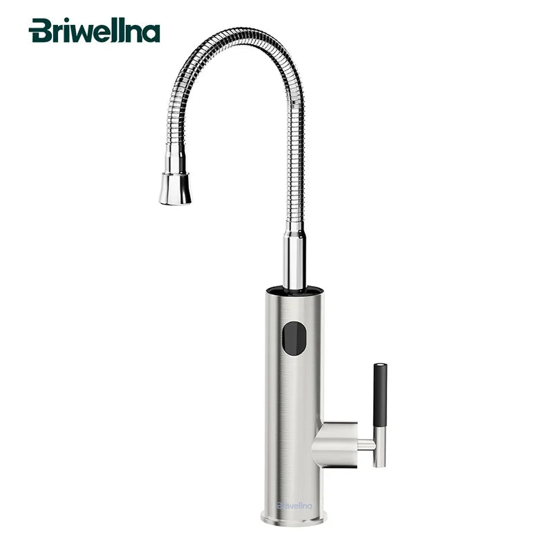 Briwellna 2-in-1 Electric Water Heater Faucet - Stainless Steel Universal Spout Kitchen Tap, 220V Heating Tap