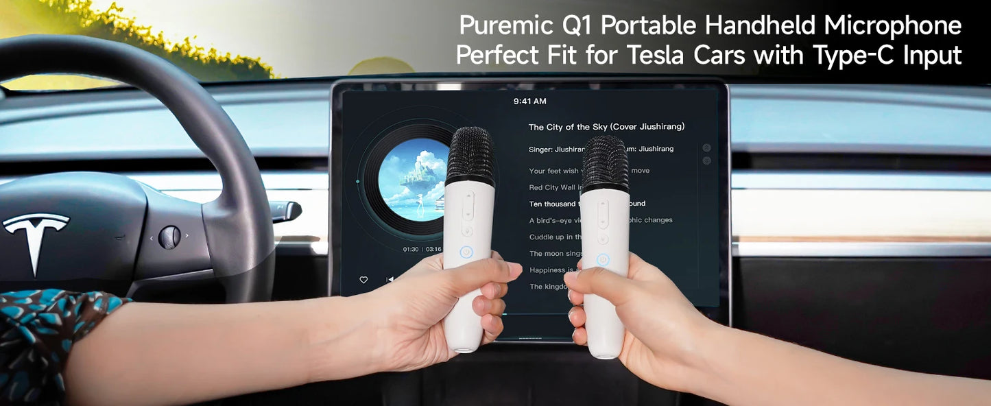 Q1 Tesla Wireless Handheld Microphone – Karaoke Mic with 4 Joy Effects, Rechargeable, Type-C Receiver & USB Converter